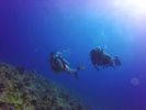 Hawaii Scuba divng 36