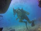 Hawaii Scuba divng 39