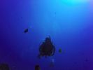 Hawaii Scuba divng 03