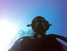 Hawaii Scuba divng 40