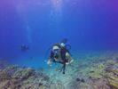 Hawaii Scuba divng 47