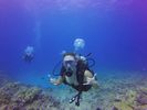 Hawaii Scuba divng 48