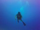 Hawaii Scuba divng 49