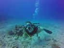 Hawaii Scuba divng 51