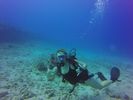 Hawaii Scuba divng 51