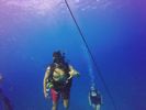 Hawaii Scuba divng 52