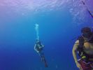 Hawaii Scuba divng 53