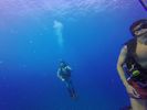 Hawaii Scuba divng 54