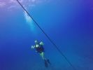 Hawaii Scuba divng 56