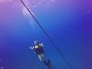 Hawaii Scuba divng 56