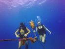 Hawaii Scuba divng 57