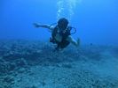 Hawaii Scuba divng 10