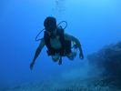 Hawaii Scuba divng 13