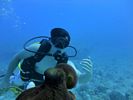 Hawaii Scuba divng 16