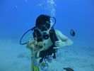 Hawaii Scuba divng 21