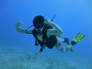 Hawaii Scuba divng 39