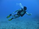 Hawaii Scuba divng 61