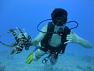 Hawaii Scuba divng 67