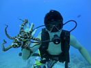 Hawaii Scuba divng 68