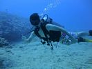 Hawaii Scuba divng 06