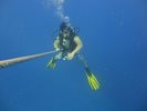 Hawaii Scuba divng 76