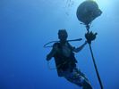 Hawaii Scuba divng 80