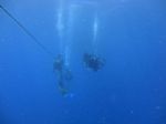 Hawaii Scuba divng 12