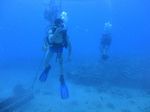 Hawaii Scuba divng 14