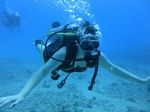 Hawaii Scuba divng 16