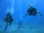 Hawaii Scuba divng 17