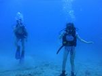 Hawaii Scuba divng 23