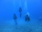 Hawaii Scuba divng 24