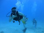 Hawaii Scuba divng 25