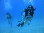 Hawaii Scuba divng 27