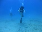 Hawaii Scuba divng 28