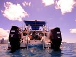 Hawaii Scuba divng 05