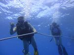 Hawaii Scuba divng 09