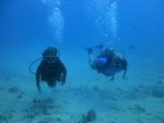 Hawaii Scuba divng 12