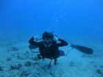 Hawaii Scuba divng 14