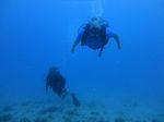 Hawaii Scuba divng 15