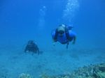 Hawaii Scuba divng 16