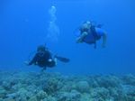 Hawaii Scuba divng 17