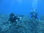 Hawaii Scuba divng 19