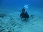 Hawaii Scuba divng 20