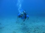 Hawaii Scuba divng 21