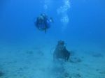 Hawaii Scuba divng 22