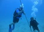 Hawaii Scuba divng 24