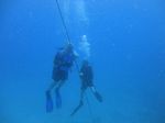 Hawaii Scuba divng 27