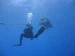 Hawaii Scuba divng 31