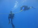 Hawaii Scuba divng 32